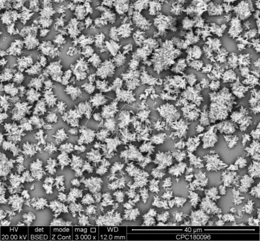 microscopia_eletronica_de_varredura_mev_morfologia_e_tamanho_de_particulas_02