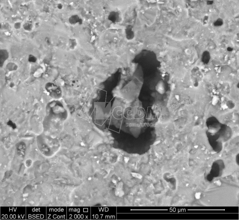 microscopia_eletronica_de_varredura_mev_com_eds_11